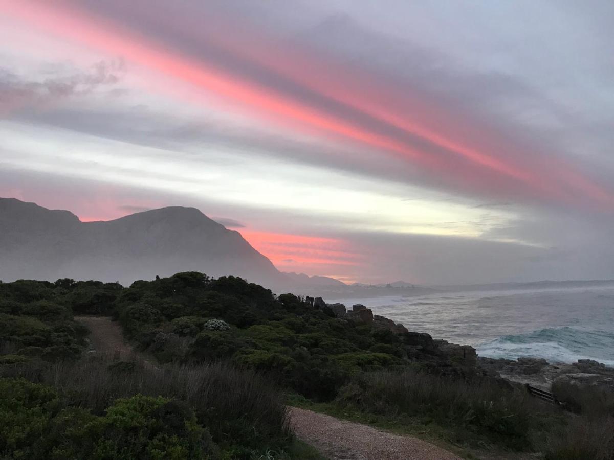 Milkwood Lodge Hermanus Exterior foto