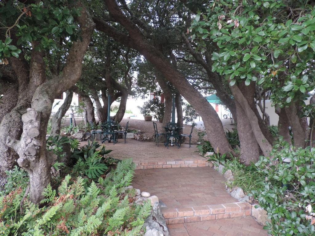 Milkwood Lodge Hermanus Exterior foto