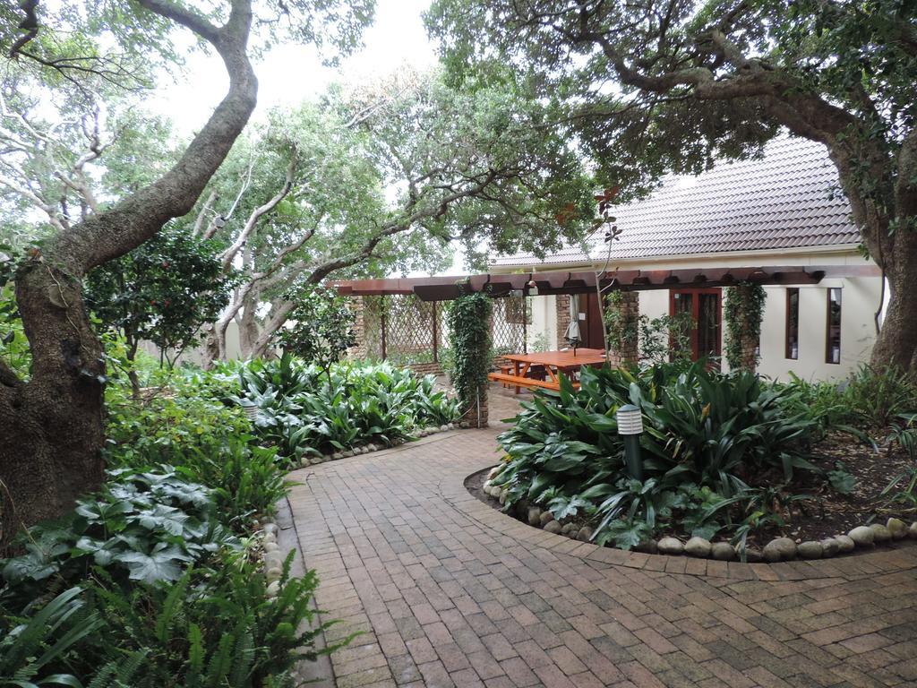 Milkwood Lodge Hermanus Exterior foto