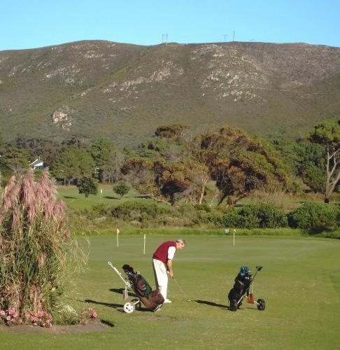 Milkwood Lodge Hermanus Exterior foto