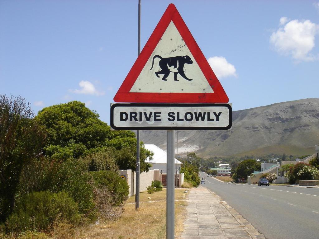 Milkwood Lodge Hermanus Quarto foto